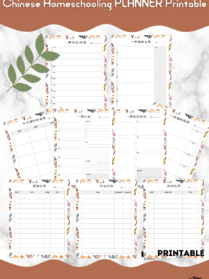 Homeschooling Chinese planner. Weekly planner, lesson planner, homework and activity planner for busy parents. #homeschooling #Chinesehomeschooling #learnChinese #Chineseweeklyplanner
