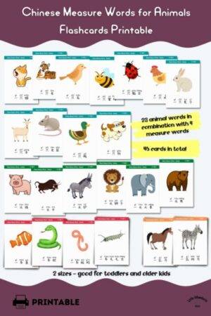 overview of measure words for animals